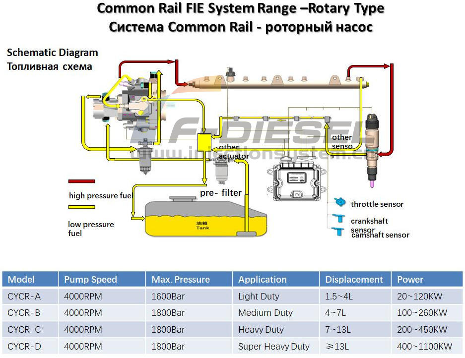 Common Rail FIE System Range-Rotary Type 1